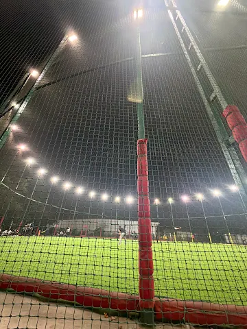 Turf photo 5