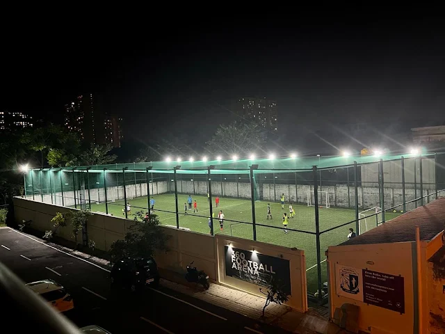 Turf photo 2