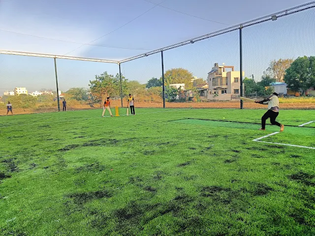 Turf photo 3