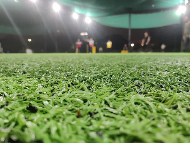 Turf photo 3