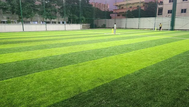Turf photo 4