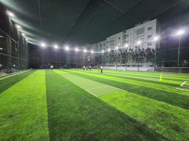 Turf photo 5