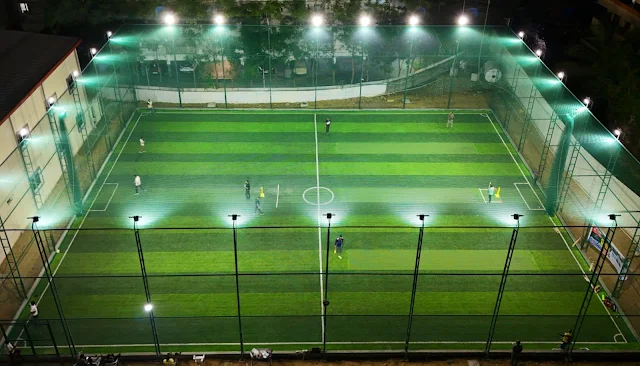 Turf photo 2