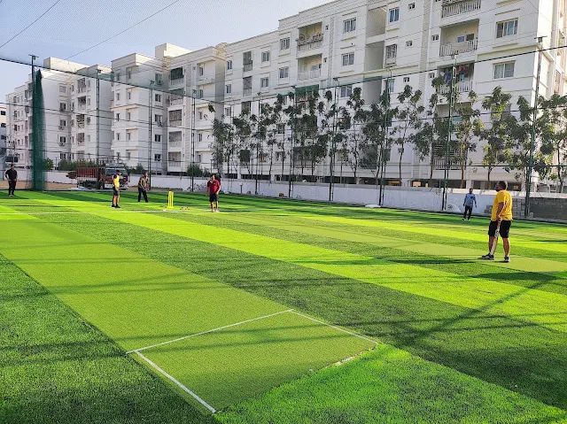 Turf photo 6