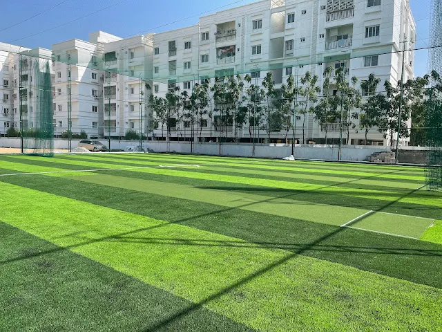 Turf photo 7