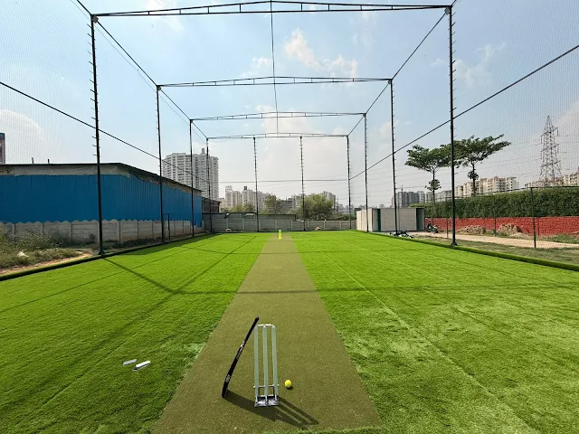 Turf photo 7