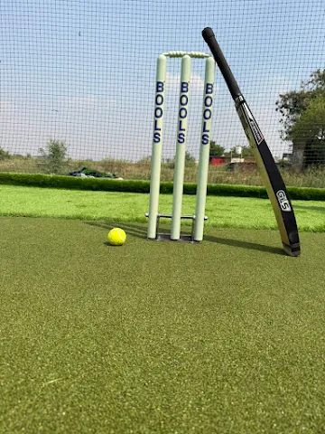 Turf photo 2