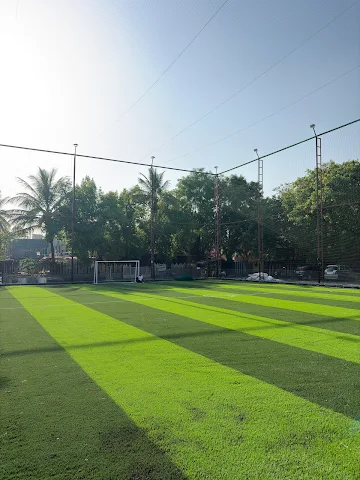 Turf photo 2