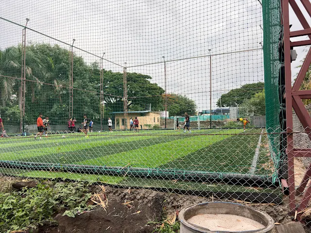 Turf main photo