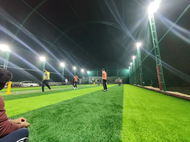 Turf photo 2
