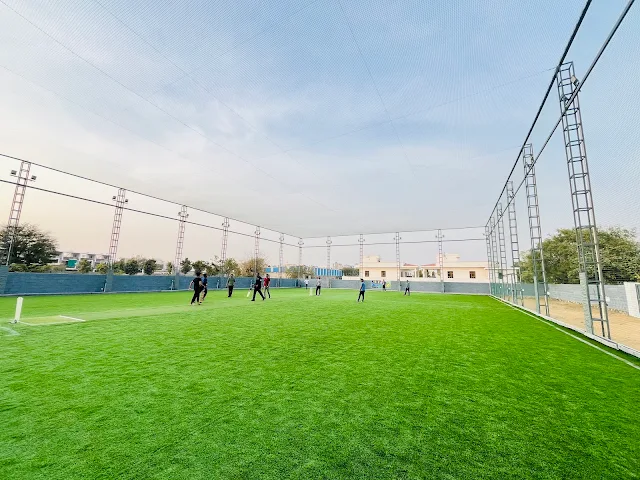 Turf photo 3