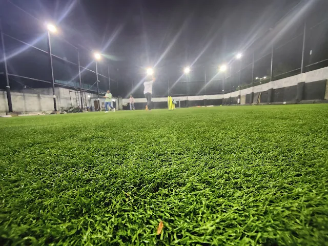 Turf photo 6