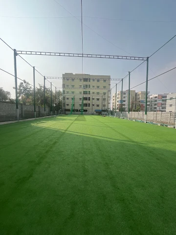 Turf photo 5