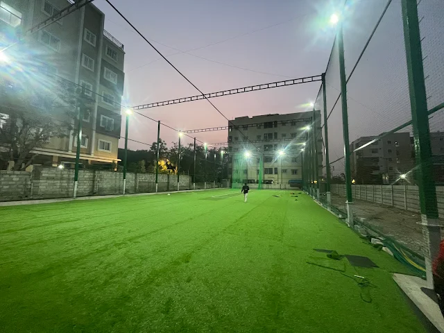 Turf photo 2