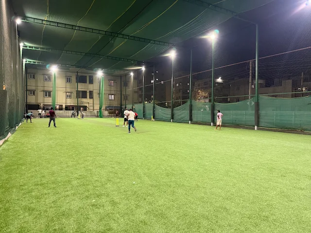 Turf photo 4