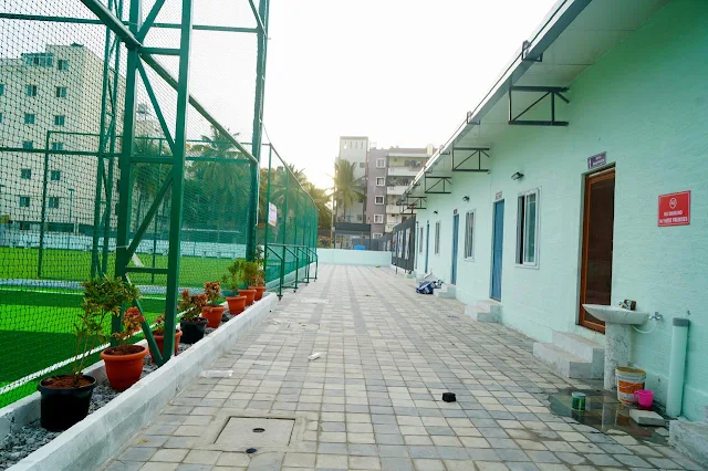 Turf photo 2