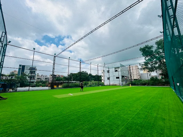 Turf main photo