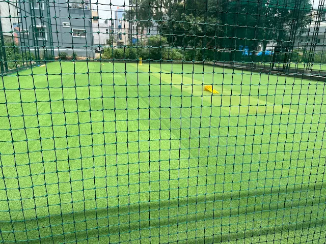 Turf photo 2