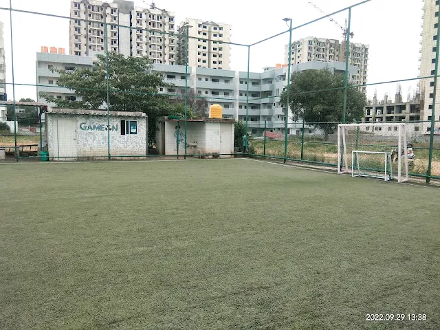 Turf photo 2