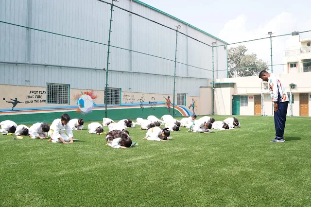 Turf photo 2