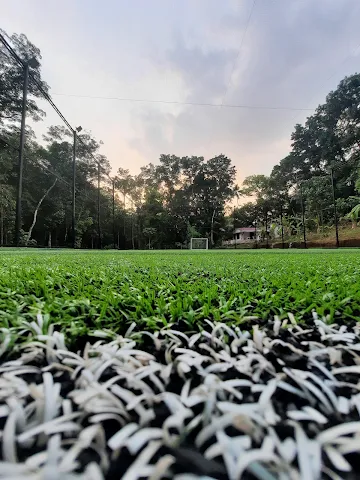 Turf photo 6