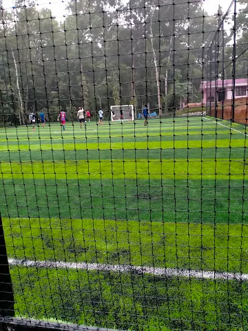 Turf photo 5