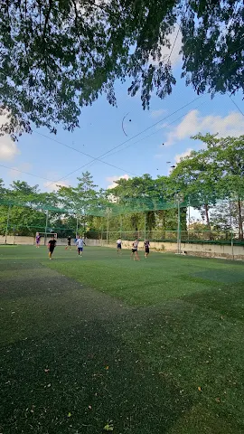Turf photo 3