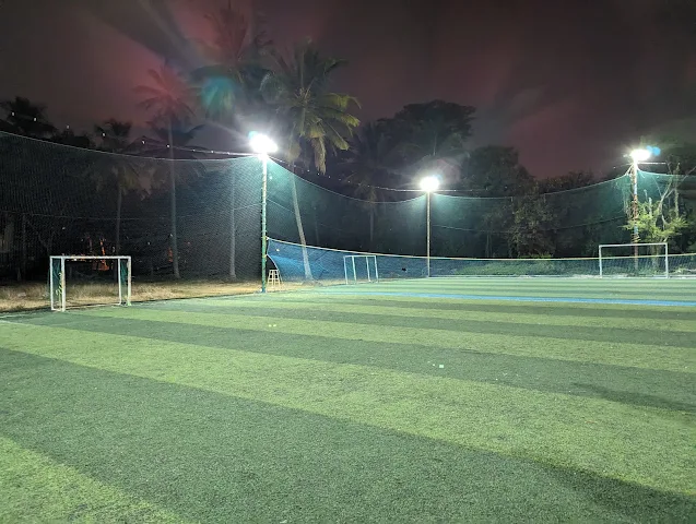 Turf main photo