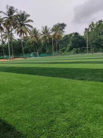 Turf photo 2