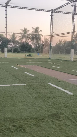 Turf photo 3
