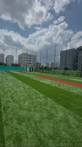 Turf photo 7