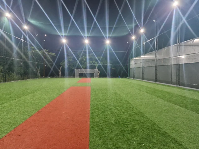Turf photo 4