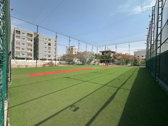 Turf photo 5