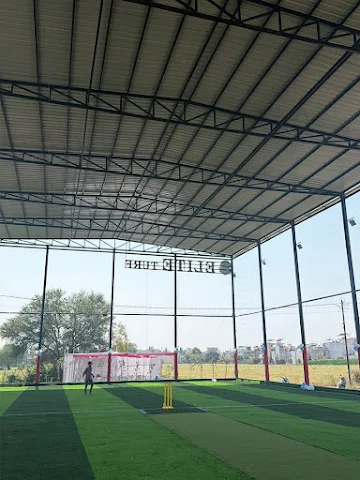 Turf photo 2