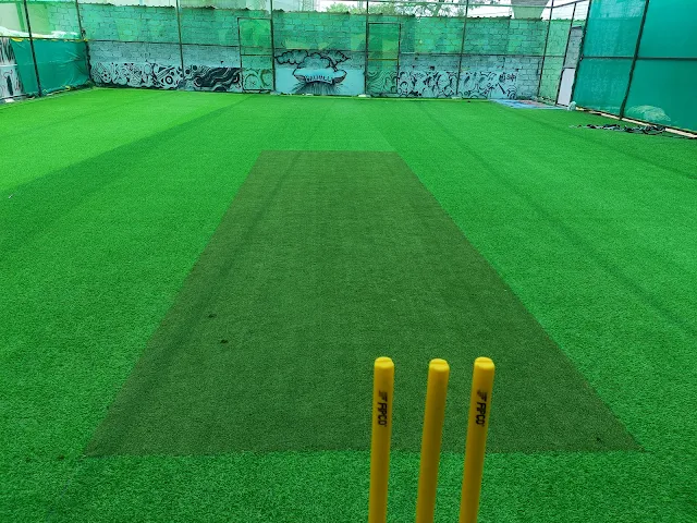 Turf photo 3