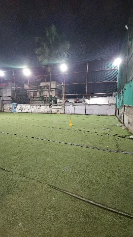 Turf photo 5
