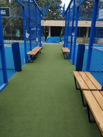 Turf photo 3