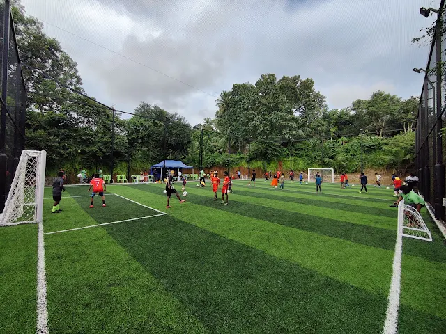 Turf photo 2