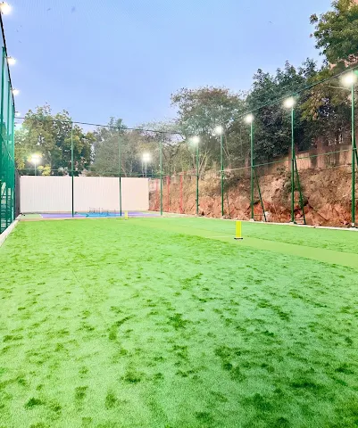 Turf main photo