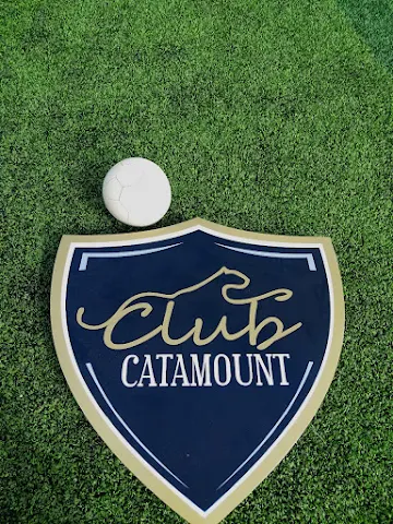 Turf photo 4