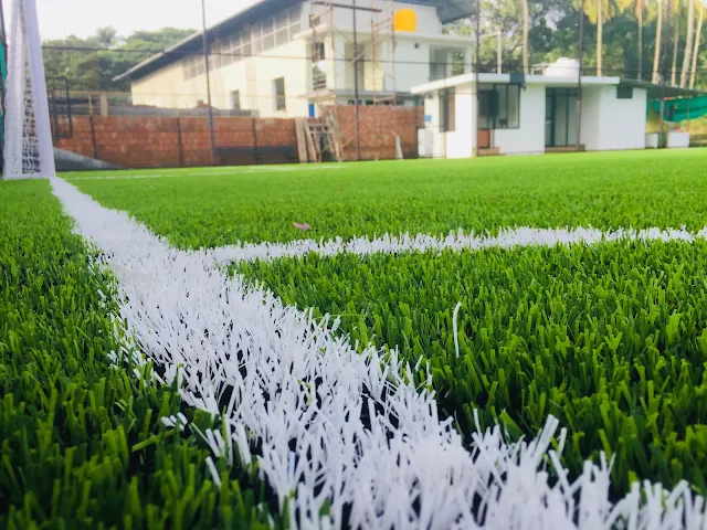 Turf photo 2