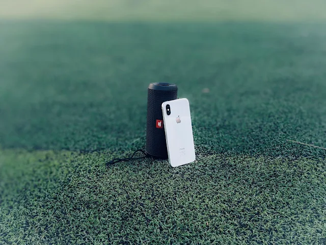 Turf photo 5
