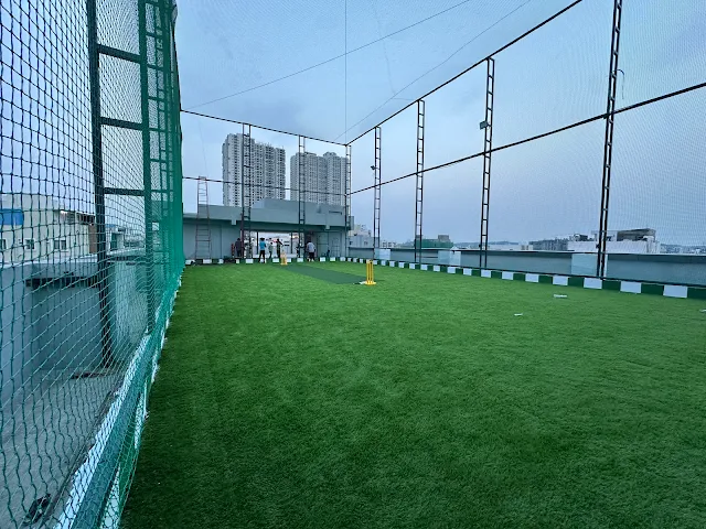 Turf photo 4