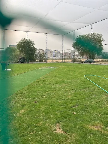 Turf photo 3