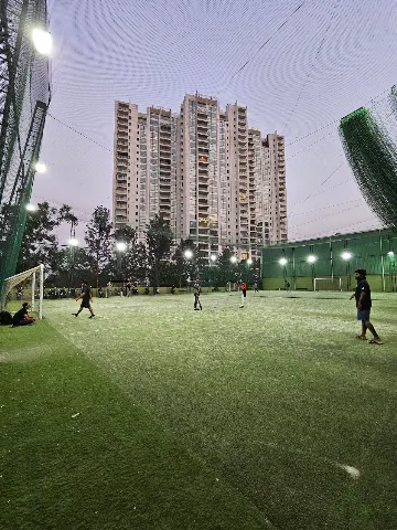 Turf photo 6