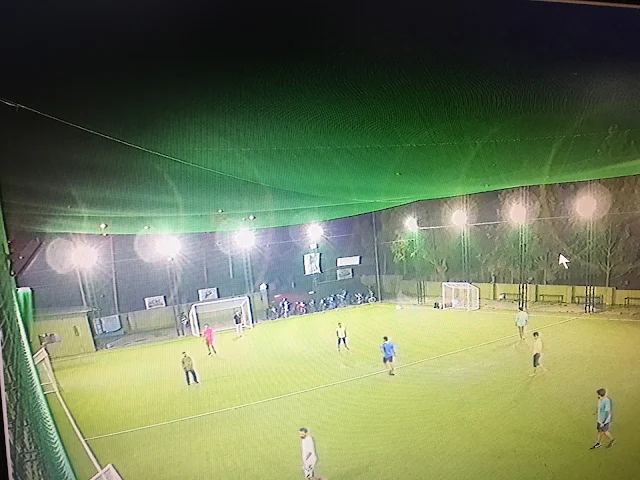 Turf photo 2