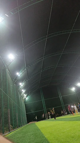 Turf photo 7