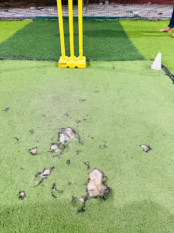 Turf photo 3