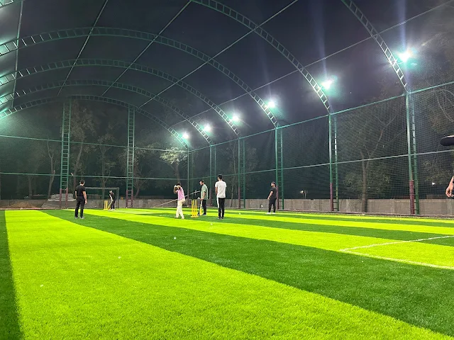 Turf photo 2