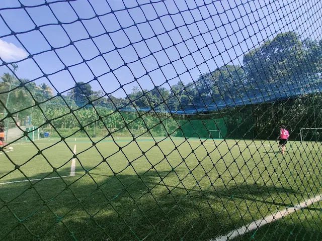 Turf photo 4
